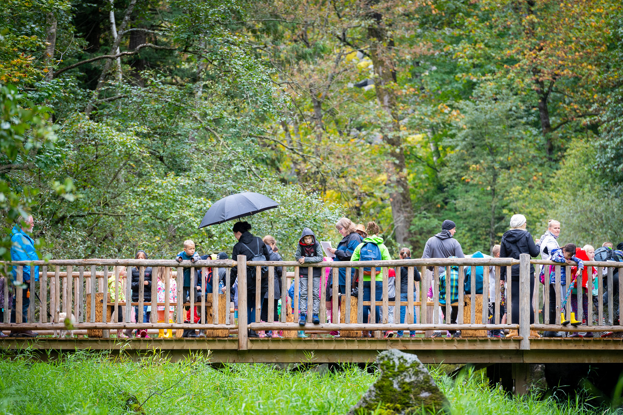 Viewing platforms and decks