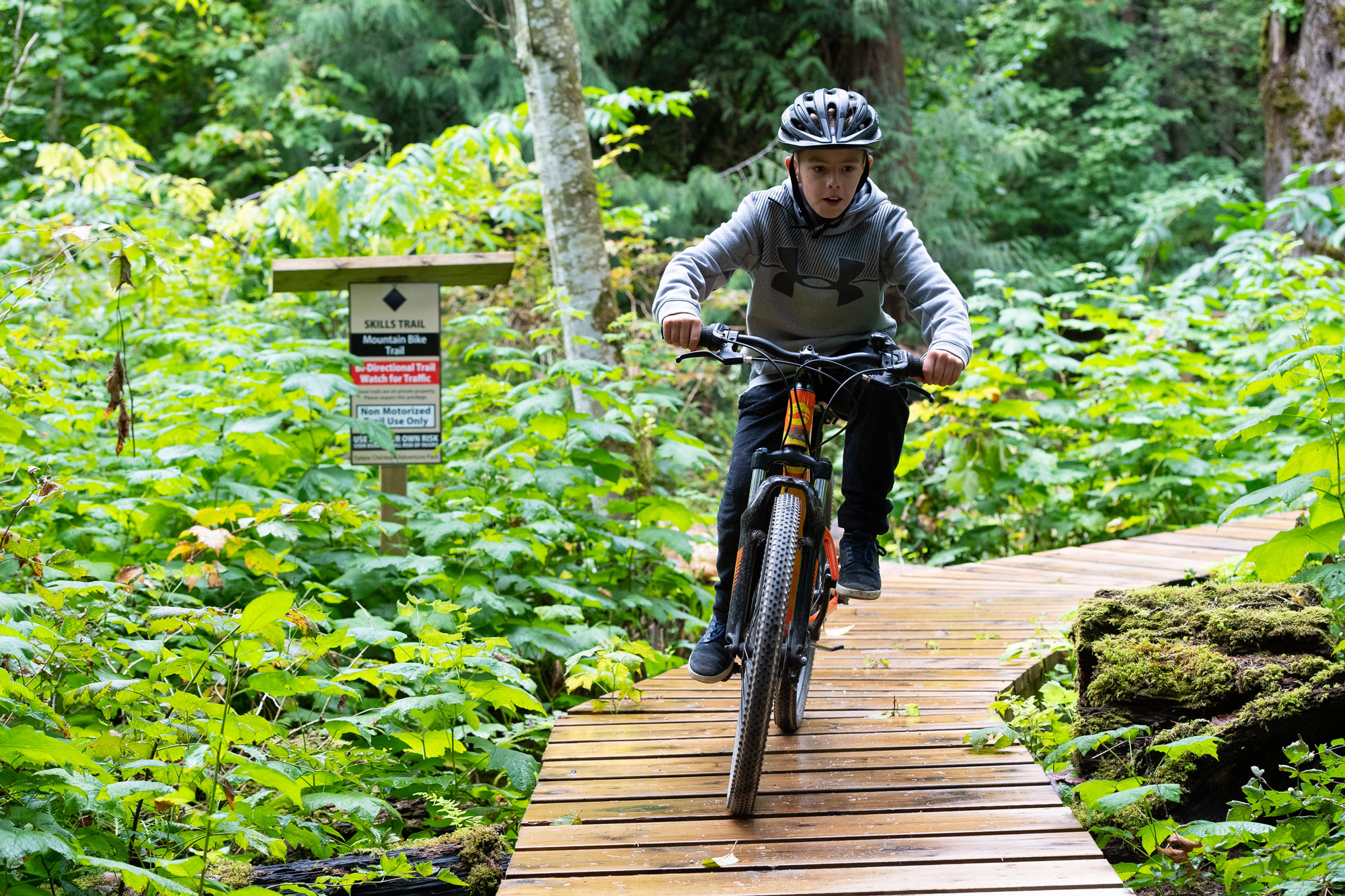 Pedestrian and cycling bridges for trail networks