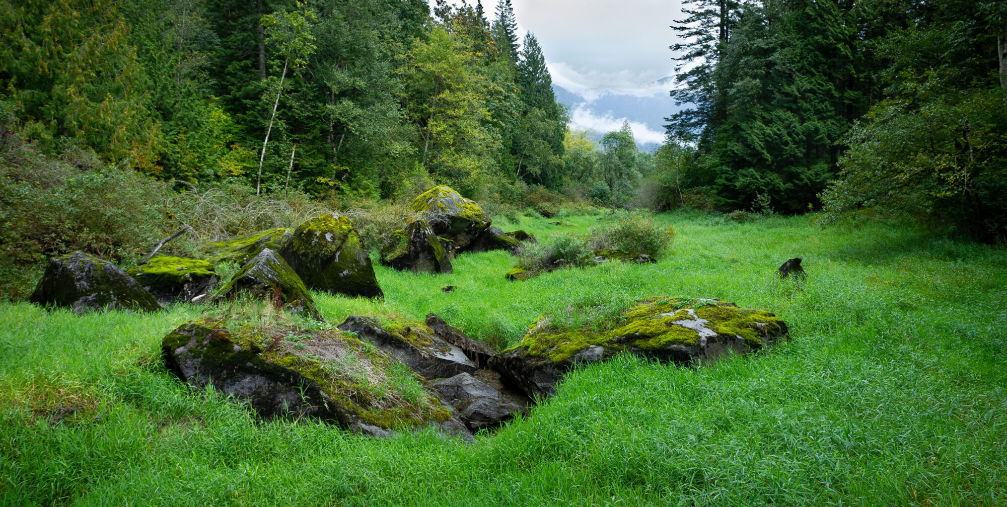 Trails & Healthy Communities for connections to nature